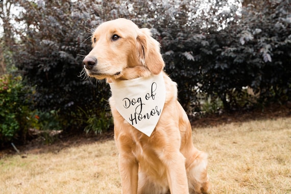Over the Collar Free Shipping Dog of Honor with Ring Canvas Dog Bandana