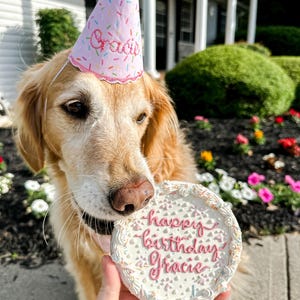 Gorro de cumpleaños personalizado para perro: bordado con el nombre de tu cachorro. Hecho a mano en rosa, azul o blanco. Decoración para fiesta de cumpleaños de perro. imagen 2
