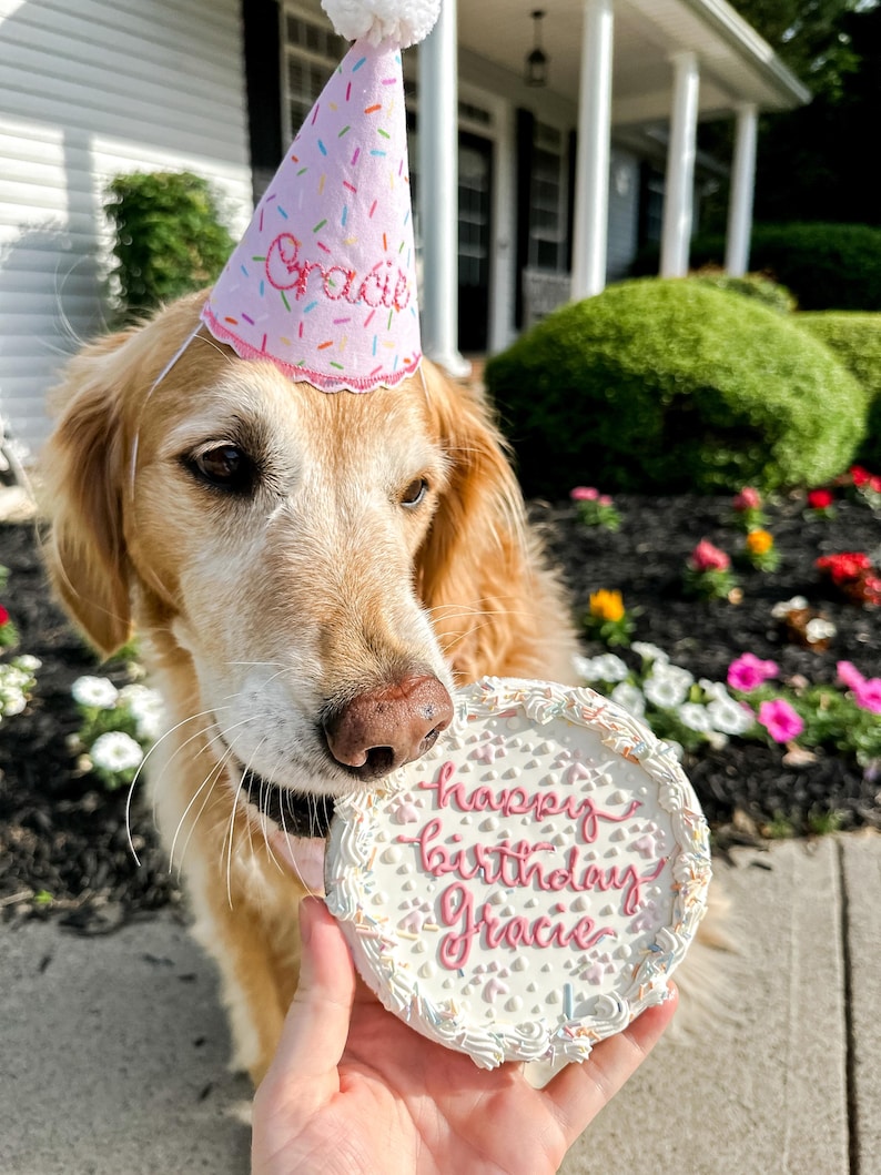 Gorro de cumpleaños personalizado para perro: bordado con el nombre de tu cachorro. Hecho a mano en rosa, azul o blanco. Decoración para fiesta de cumpleaños de perro. imagen 2