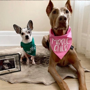 Big Brother or Big Sister Over The Collar Dog Bandana, Cute Pregnancy Announcement Idea with Dogs, Tails Up Pup image 8