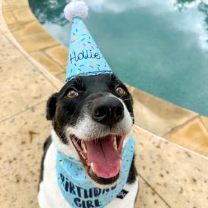 Gorro de cumpleaños personalizado para perro: bordado con el nombre de tu cachorro. Hecho a mano en rosa, azul o blanco. Decoración para fiesta de cumpleaños de perro. imagen 4