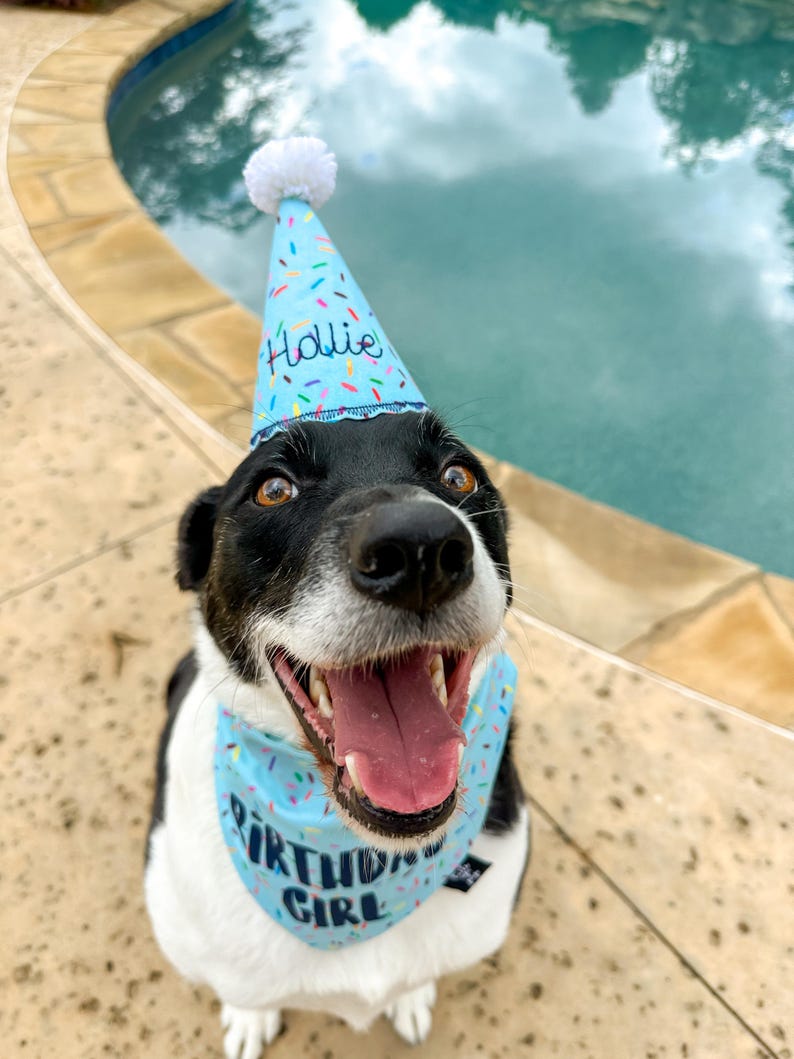 Gorro de cumpleaños personalizado para perro: bordado con el nombre de tu cachorro. Hecho a mano en rosa, azul o blanco. Decoración para fiesta de cumpleaños de perro. imagen 4