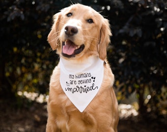 My Humans Are Getting Married Over The Collar Dog Bandana, Cute Engagement Announcement Idea, Tails Up Pup, Unique Engagement Present