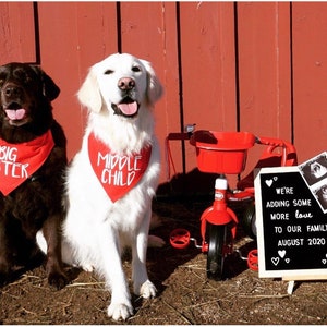 Big Brother or Big Sister Over The Collar Dog Bandana, Cute Pregnancy Announcement Idea with Dogs, Tails Up Pup Red