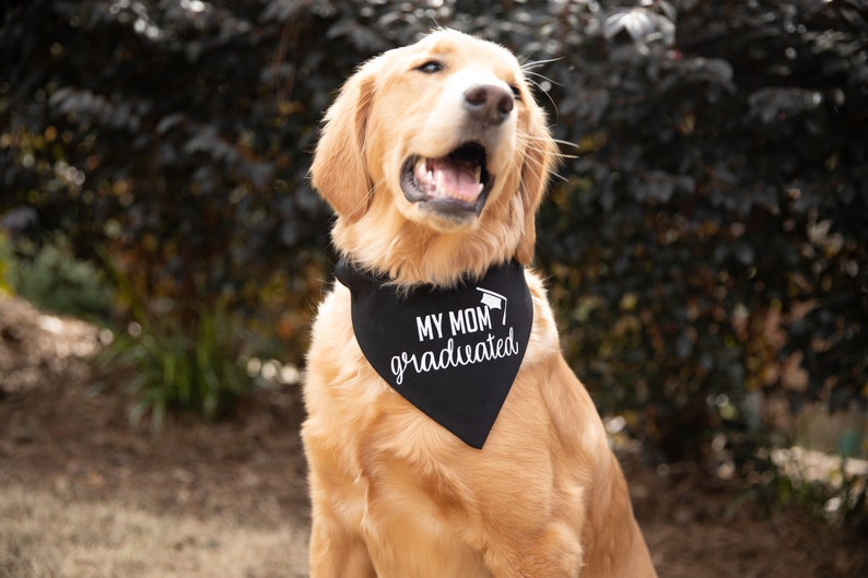 Graduation Announcement Idea Graduation Photo Prop Tails Up Pup My MomDad Graduated Over The Collar Dog Bandana