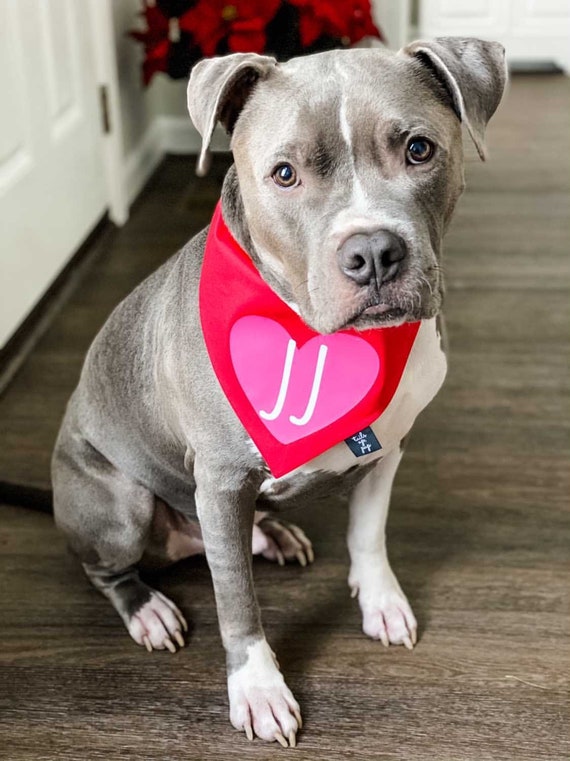 Pañuelo Personalizable Para Perro De Muka - Triangular, Lavable, Talla M, Color Rojo