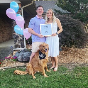 Big Brother or Big Sister Over The Collar Dog Bandana, Cute Pregnancy Announcement Idea with Dogs, Tails Up Pup Black