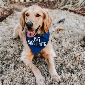 Big Brother or Big Sister Over The Collar Dog Bandana, Cute Pregnancy Announcement Idea with Dogs, Tails Up Pup image 9