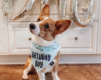 Birthday Boy Dog Bandana, Dog Birthday Bandana, Tails Up Pup, Dog Birthday Celebration, Dog Birthday Party, Props For Dog Birthday
