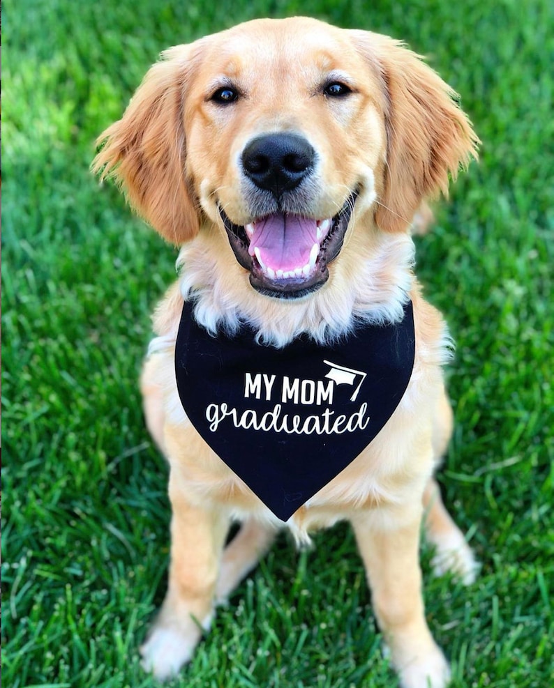 Graduation Announcement Idea Graduation Photo Prop Tails Up Pup My MomDad Graduated Over The Collar Dog Bandana