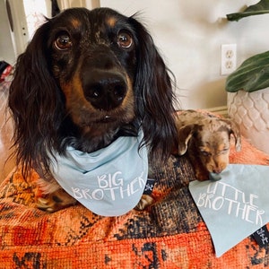 Big Brother or Big Sister Over The Collar Dog Bandana, Cute Pregnancy Announcement Idea with Dogs, Tails Up Pup Dusty Blue