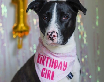 Birthday Girl Dog Bandana, Dog Birthday Bandana, Tails Up Pup, Dog Birthday Celebration, Dog Birthday Party, Props For Dog Birthday