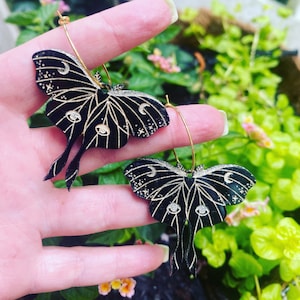 Luna Moth Hoop Earrings in Black & Gold