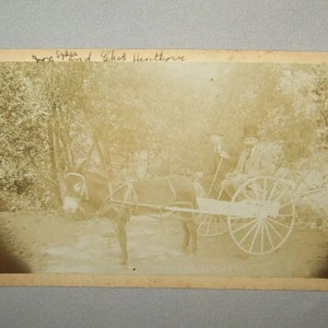 Pikes Peak Or Bust Donkey Cart 1870s Mounted Cabinet Card Photo Old Antique Vtg