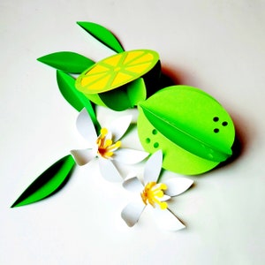 ENSEMBLE DE CITRON 3D. Modèles SVG. Citron, un demi citron, fleurs et feuilles. Cricut, SilhouetteCamée. Fichiers SilhouetteStudio Dxf Ai Svg Png Pdf.