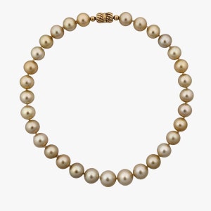 12-14mm GORGEOUS! Golden South Sea Pearl Necklace