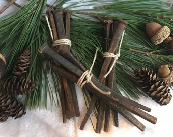 Antique Rusty Iron Square Coffin Nails Xtra Large 4.5 Inch: Hoodoo Ritual Protection Ward (Set of 4)