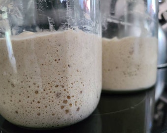 Dehydrated Sourdough Starter