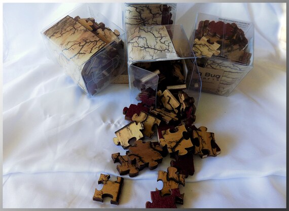 Captured Lightning Puzzle