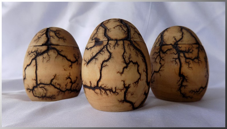 Captured Lightning Egg Storage Box