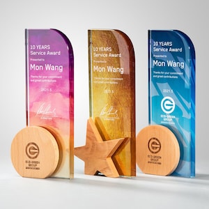 Personalized Trophy Award, Engraved Crystal and Wood Trophy, Corporate Trophy Award, Recognition Plaque, Gifts For Business Partner, T63
