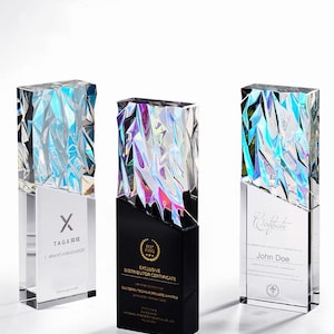 Personalized Trophy Award, Unique Crystal Trophy, Customize Corporate Trophy Award, Custom Recognition Plaque, Creative Bespoke Trophy, T65