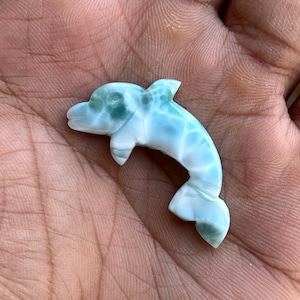 May include: A carved dolphin figurine in shades of blue and white, held in a hand. The dolphin has a curved body, a dorsal fin, and a tail fin. The stone has a marbled appearance.