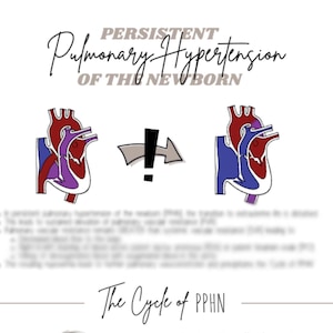 May include: An educational medical diagram with the title "Persistent Pulmonary Hypertension of the Newborn." The image includes illustrations of the heart, a cycle diagram, and lists of factors and management strategies.