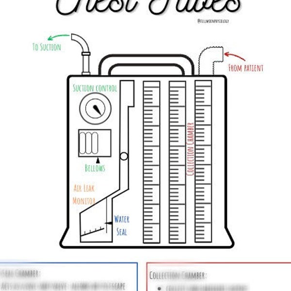Pathophysiology Cheat Sheet Nursing Etsy