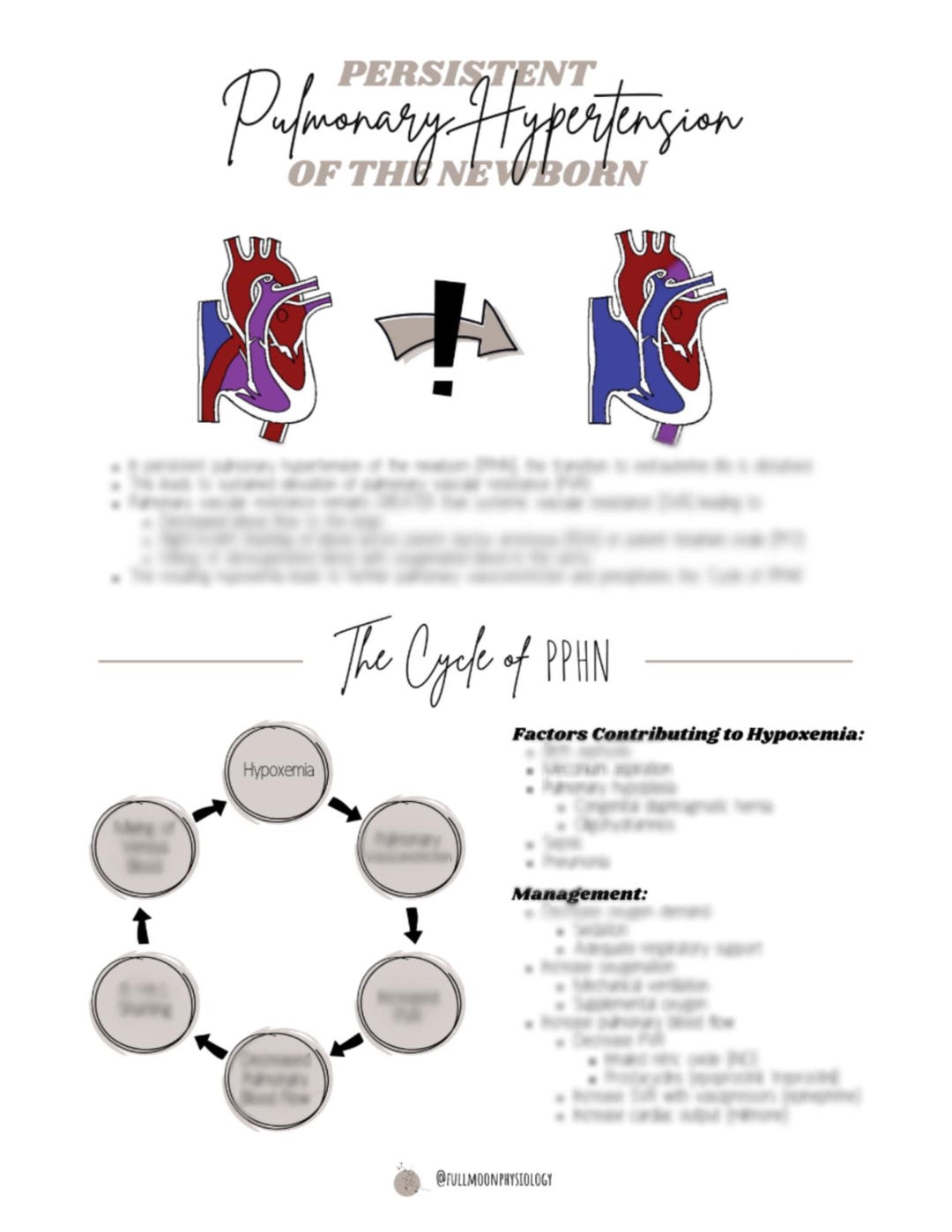 NICU Nursing Notes: Persistent Pulmonary Hypertension of the Newborn ...