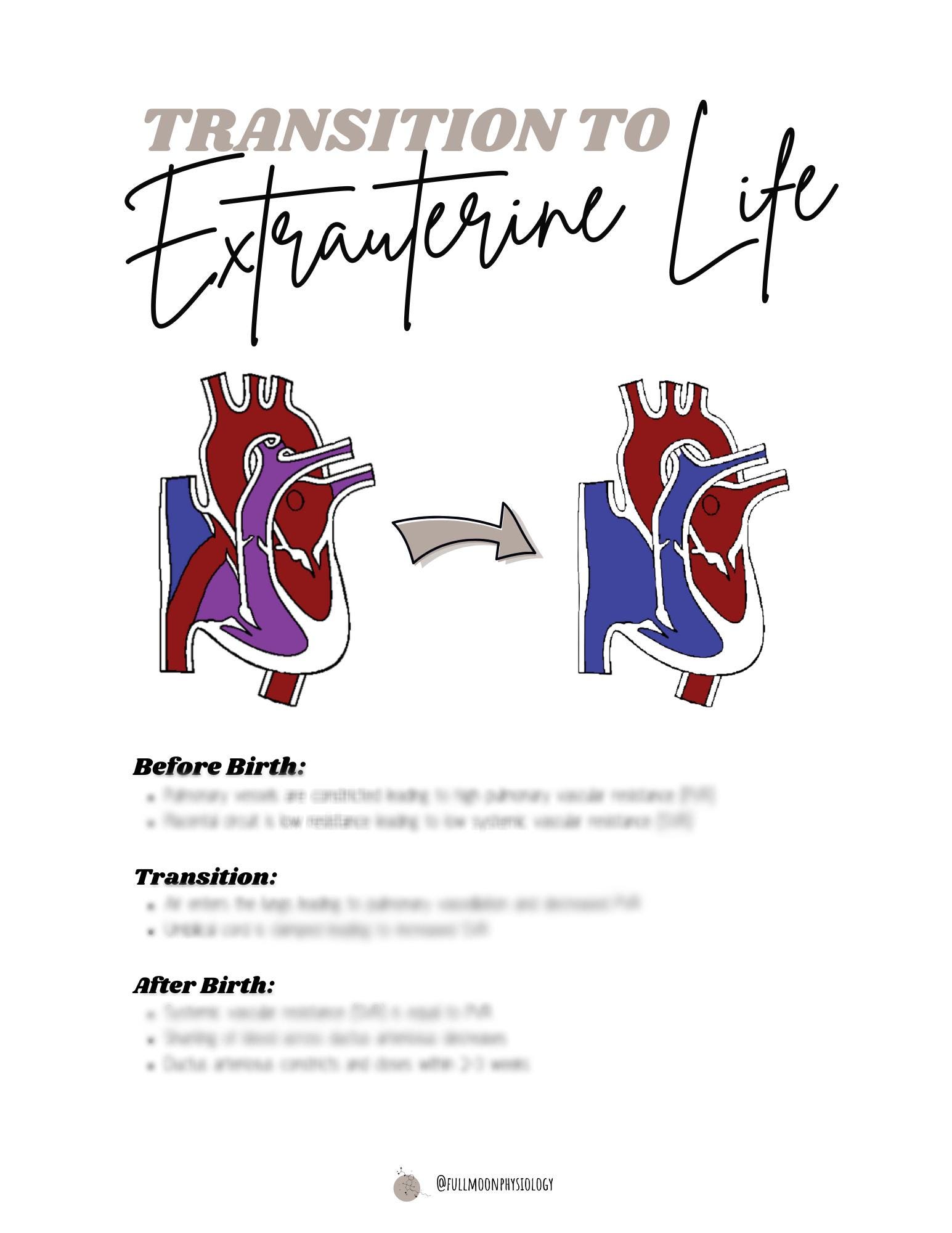 NICU Nursing Notes: PPHN Package (fetal Circulation, Transition to ...