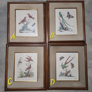 May include: Four framed prints of birds and butterflies. The prints are in a vintage style and feature detailed illustrations of the birds and butterflies. The frames are all brown wood and have a simple design.