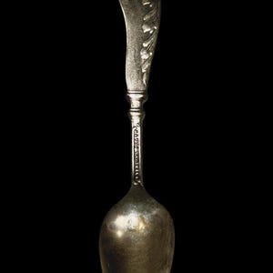 1904 Pan American St. Louis Missouri World Fair Collectible Souvenir Spoon