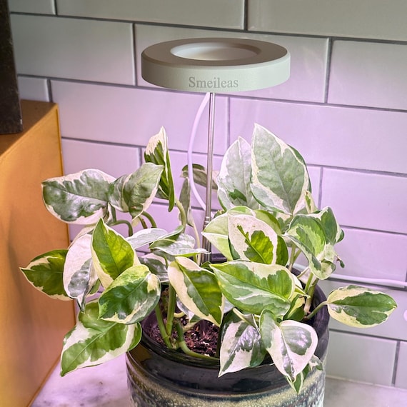 Buy Grow Light Indoor Full Spectrum - Indoor Imitation Sun Grow Lamp -  Suitable for Indoor Plants, Fleshy Flowers & Small Plants LED Online in  India - Etsy