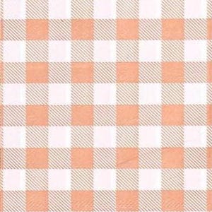 Peut inclure: Un motif à carreaux pêche et blanc, rappelant une nappe de pique-nique. Le motif présente une grille de carrés répétée, avec un bord festonné en bas. La palette de couleurs est pêche et blanche.