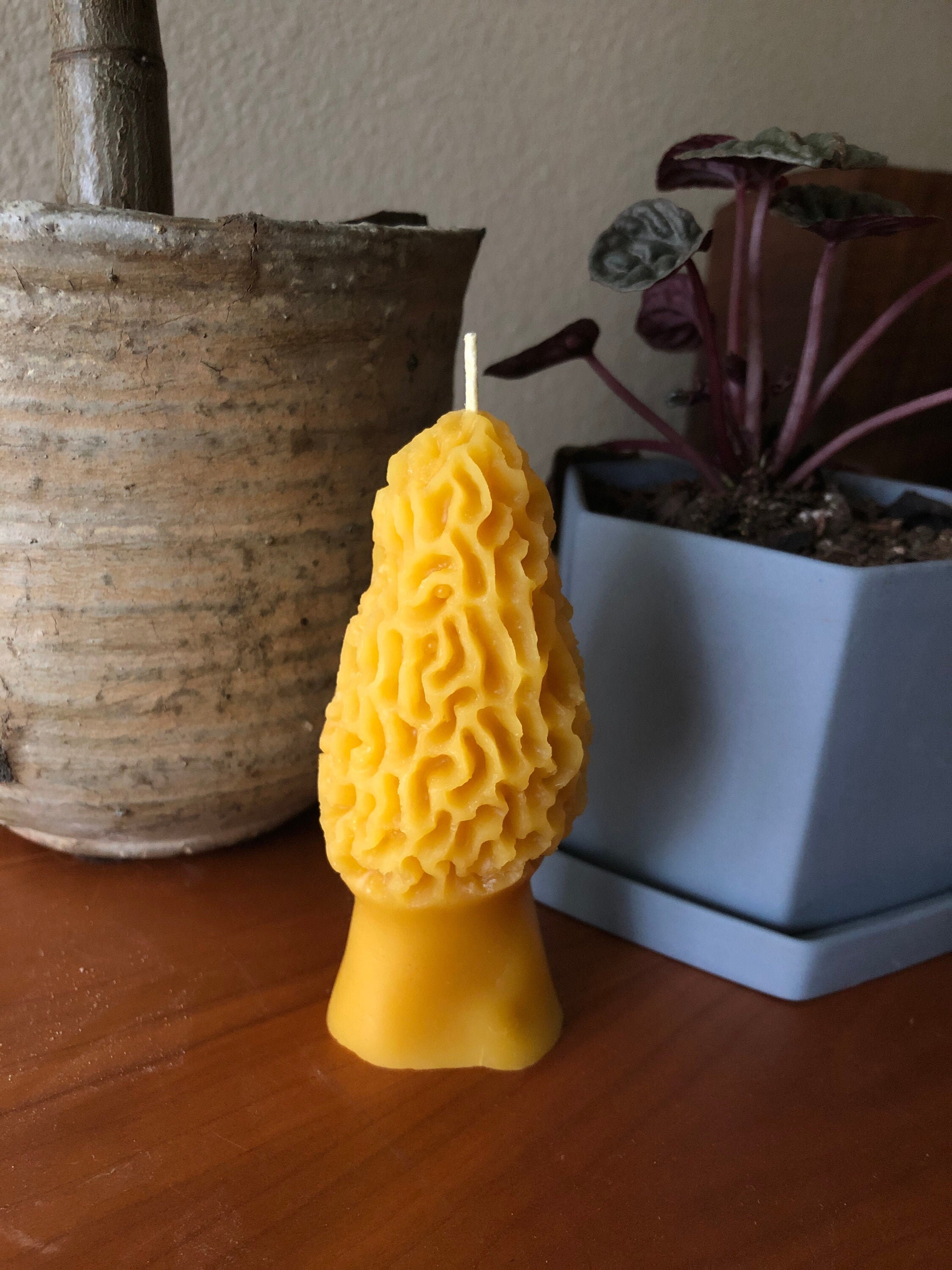 Bougie Aux Champignons Morel - Cire d'abeille 100% Pure 3 Oz en Cascadie Biologique Non Parfumée Por