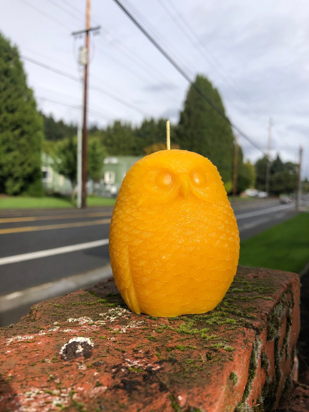 Owl Candle 2 100 Pure Beeswax 5.5 Oz Unscented Organic Cascadian