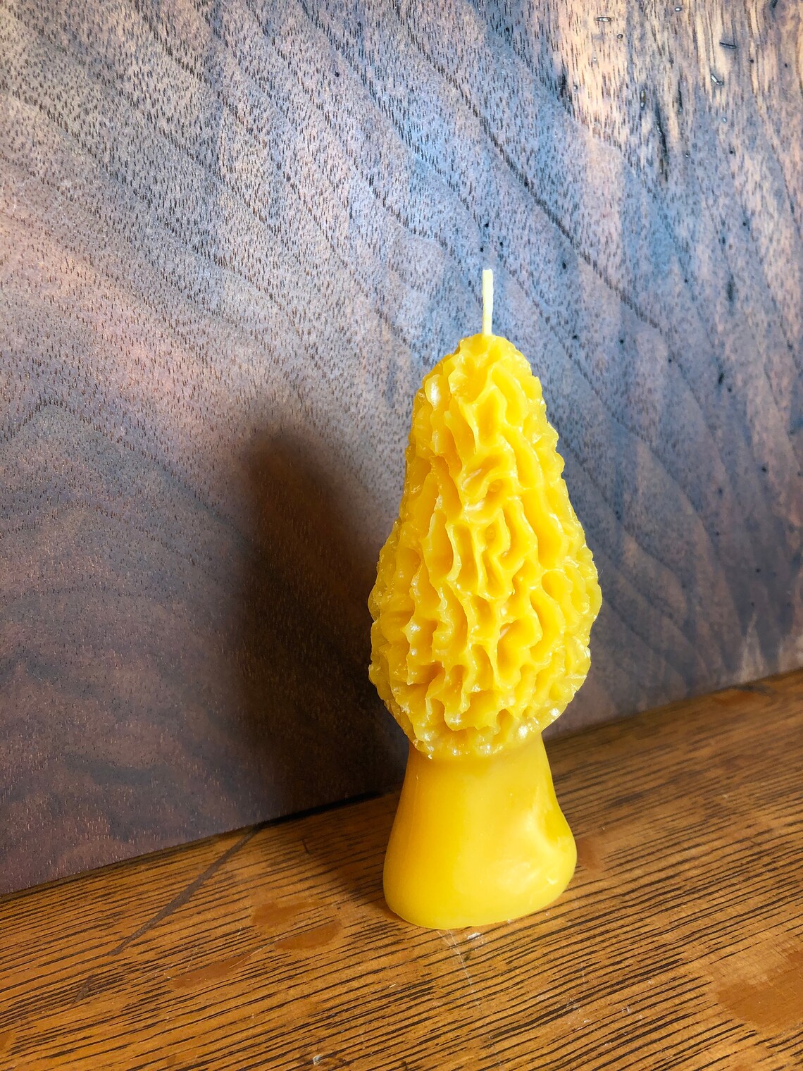 Morel Mushroom Candle 100 Pure Beeswax 3 Oz Unscented Etsy