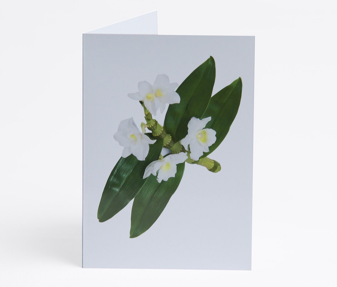 Flowerlets - Notelets – Thank You Cards - Pack of 5 With Envelopes ...