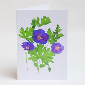 Florecitas - Notas - Tarjetas de agradecimiento - Paquete de 5 con sobres - Flor de geranio - Interior en blanco - Vendido exclusivamente por AM Fine Art GB