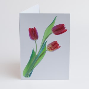 Florecitas - Notas - Tarjetas de agradecimiento - Paquete de 5 con sobres - Tulipanes rojos - Interior en blanco - Vendido exclusivamente por AM Fine Art GB