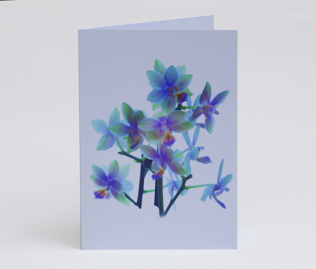 Flowerlets - Notelets – Thank You Cards - Pack of 5 With Envelopes ...