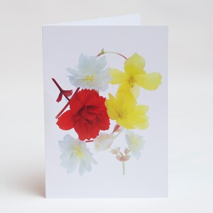 Florecitas - Notas - Tarjetas de agradecimiento - Paquete de 5 con sobres - Flor de begonia - Interior en blanco - Vendido exclusivamente por AM Fine Art GB