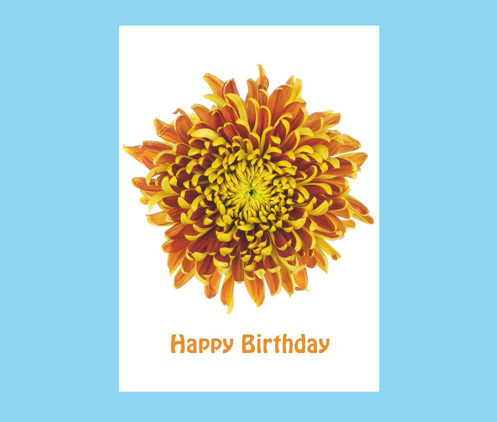 Chrysanthemum Birthday Card for Her - Etsy