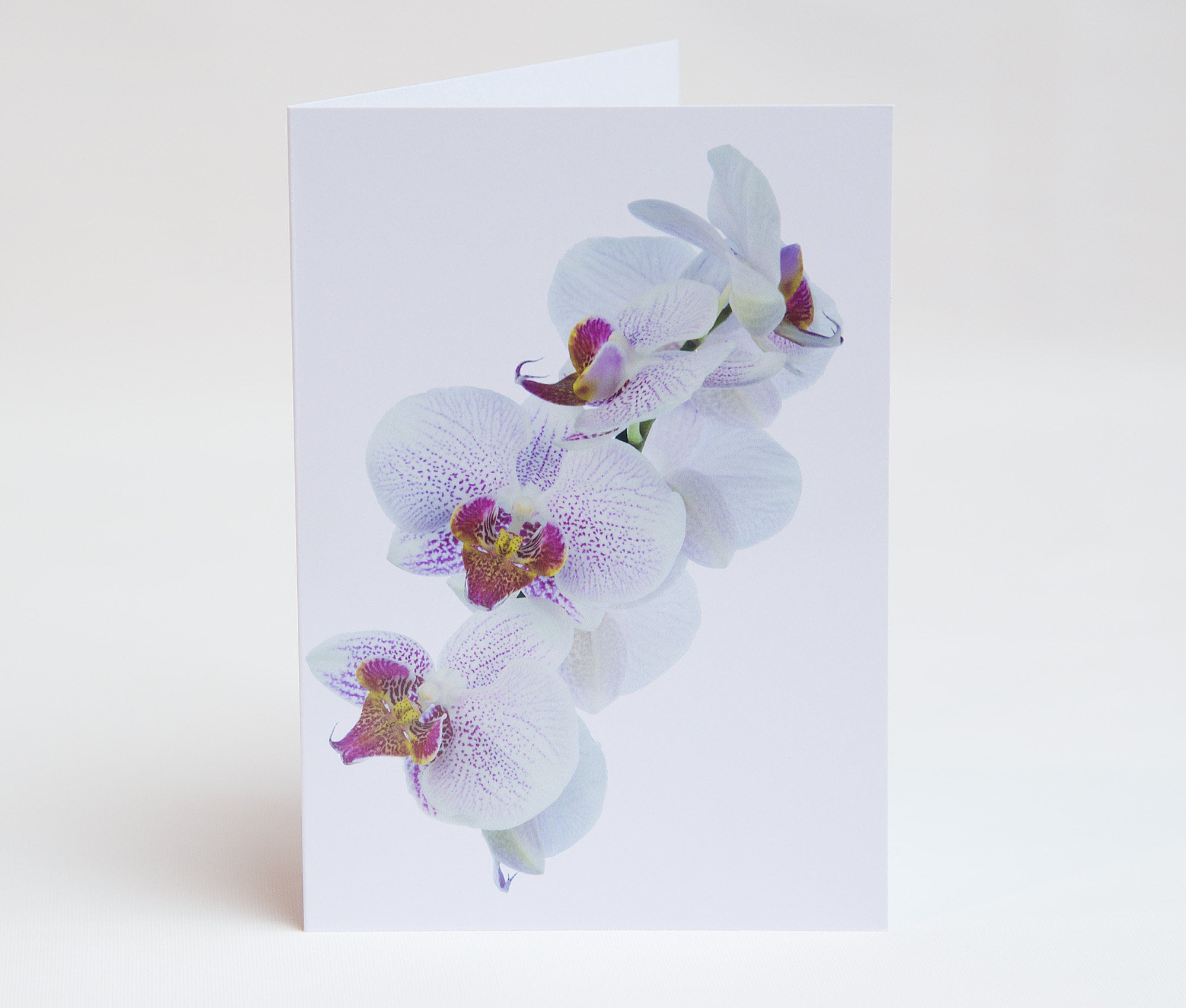 Orchid Flower Thank You Cards - Floral Notelets, Pack of 5 - Etsy