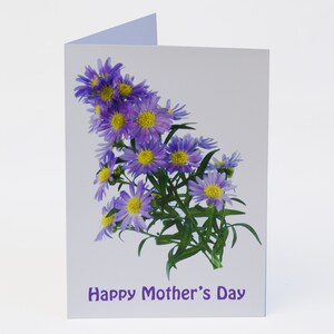 Mother’s Day Card – Michaelmas Daises - Blank Inside – Complete with Envelope - Exclusivement vendu par AM Fine Art GB