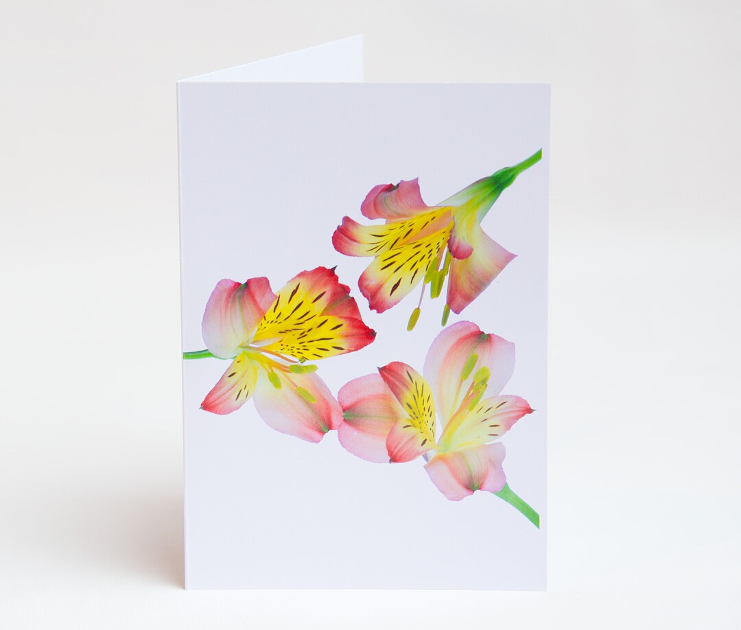 Alstroemeria Flower Thank You Cards - Floral Notelets, Pack of 5 - Etsy UK