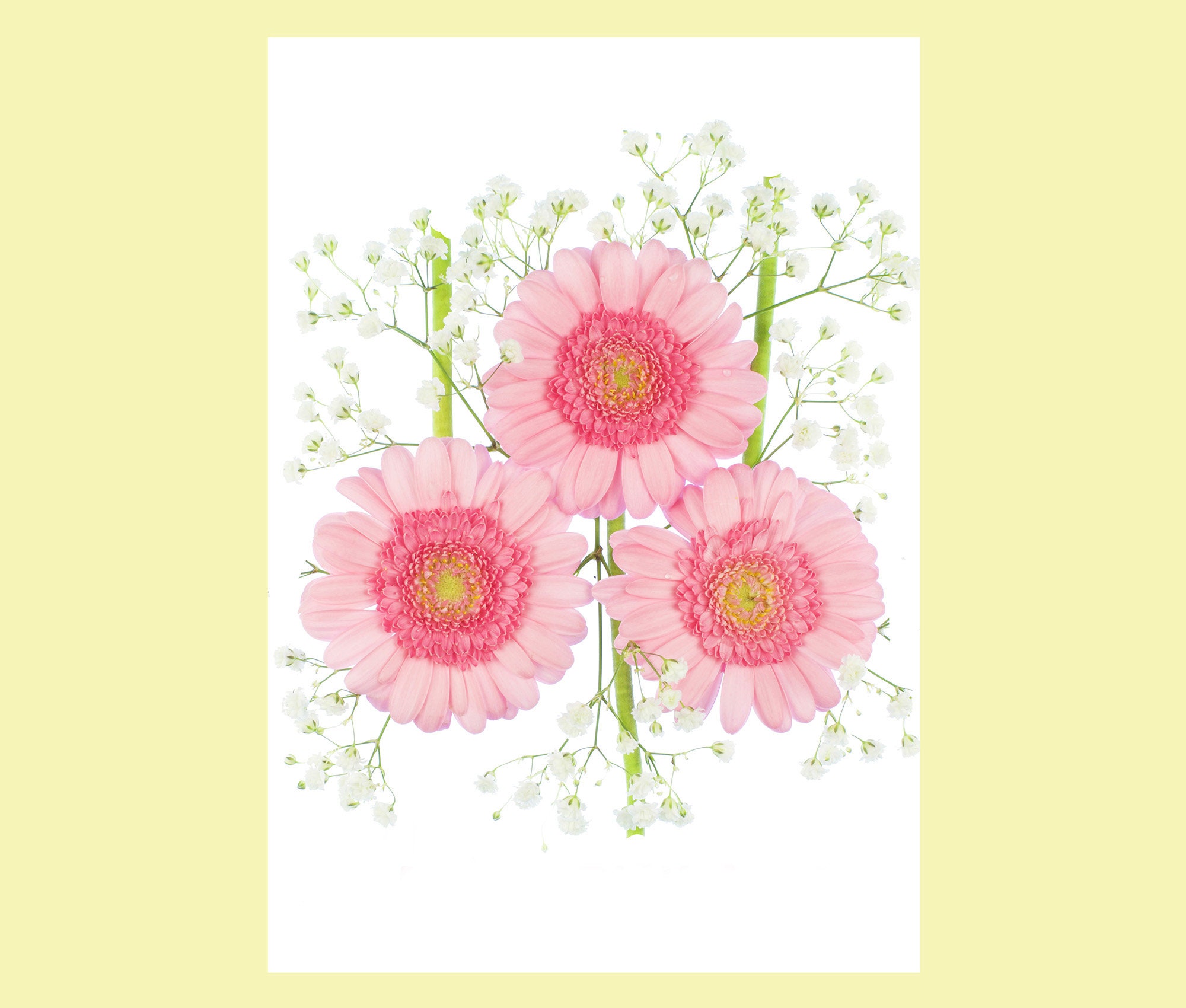 Flowerlets - Notelets – Thank You Cards - Pack of 5 With Envelopes ...