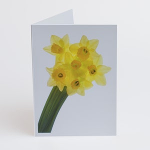 Florecitas - Notas - Tarjetas de agradecimiento - Paquete de 5 con sobres - Ramo de narcisos - Interior en blanco - Vendido exclusivamente por AM Fine Art GB