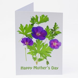 Mother’s Day Card – Geranium Flowers - Blank Inside – Complete with Envelope - Exclusivement vendu par AM Fine Art GB
